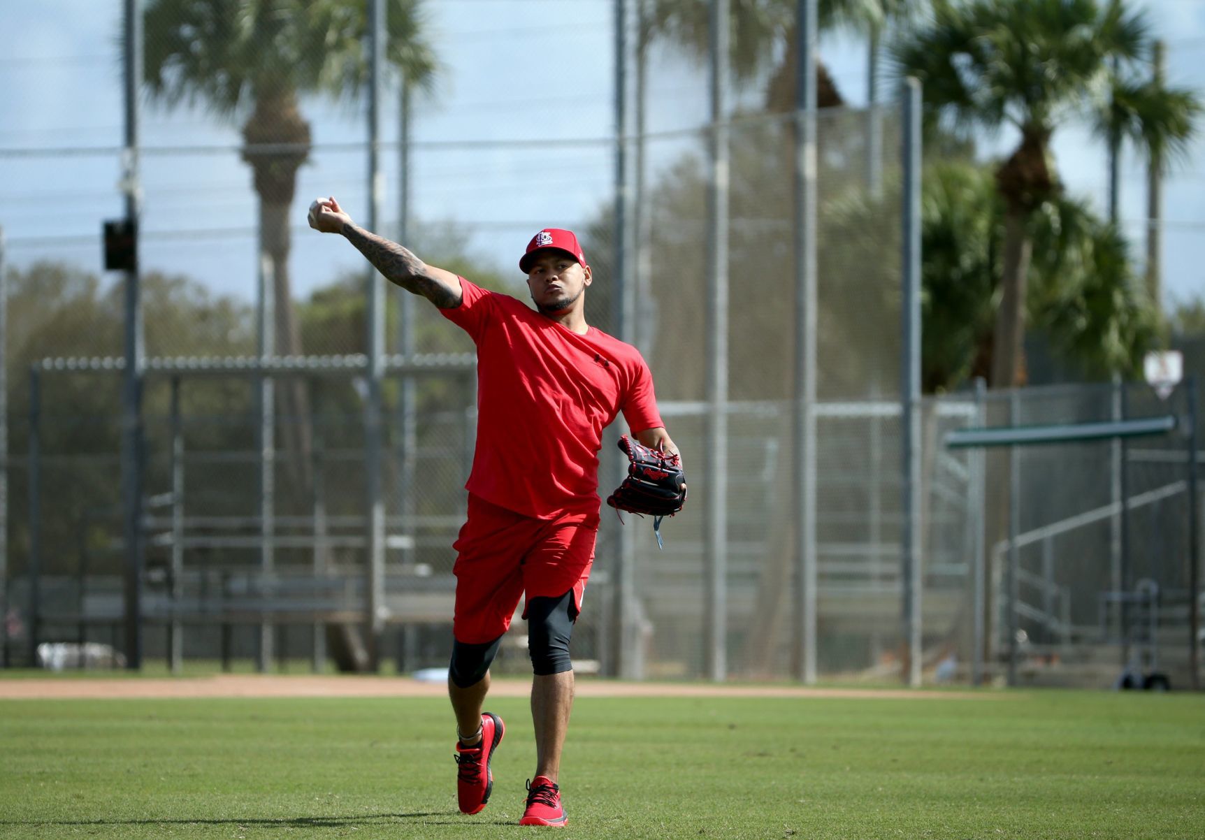 Cardinals pitchers and catchers report day